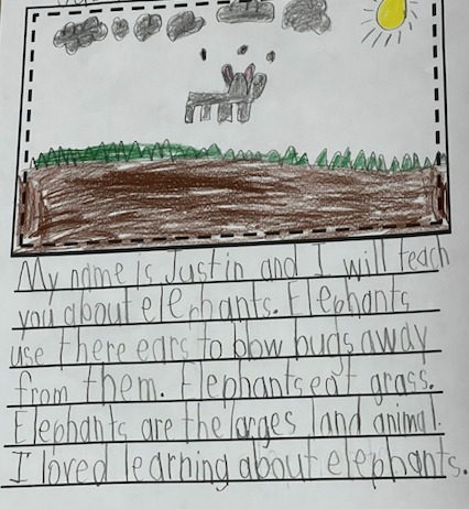 Student writing and drawing about elephants