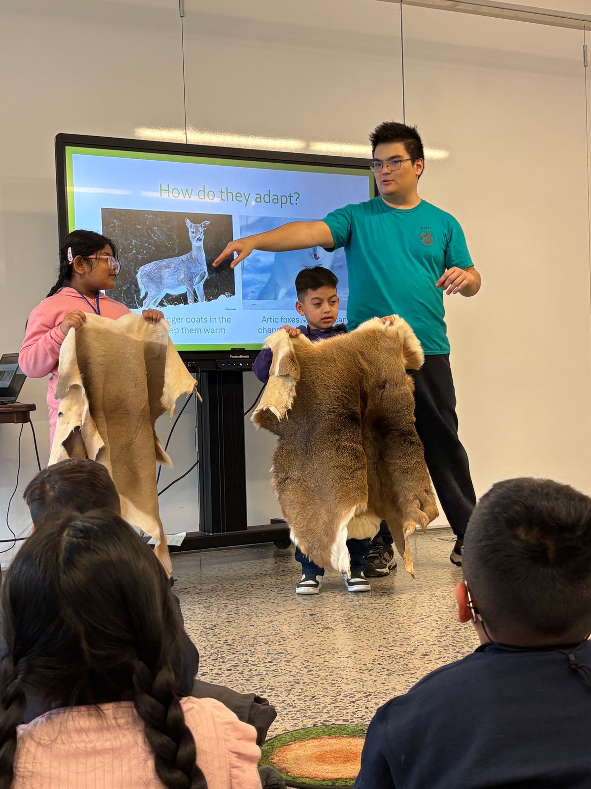 Students holding up animal hides during a classroom presentation