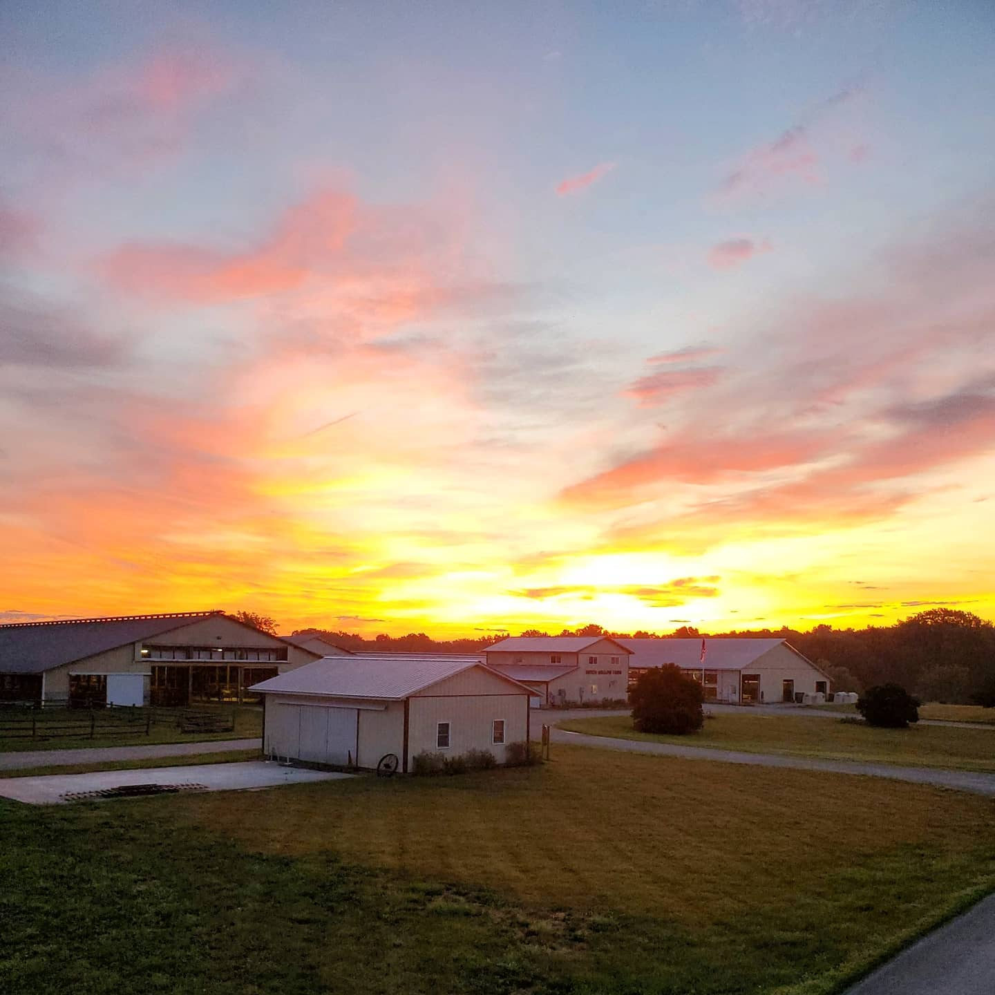 The barns of Dutch Hollow Farm at sunset