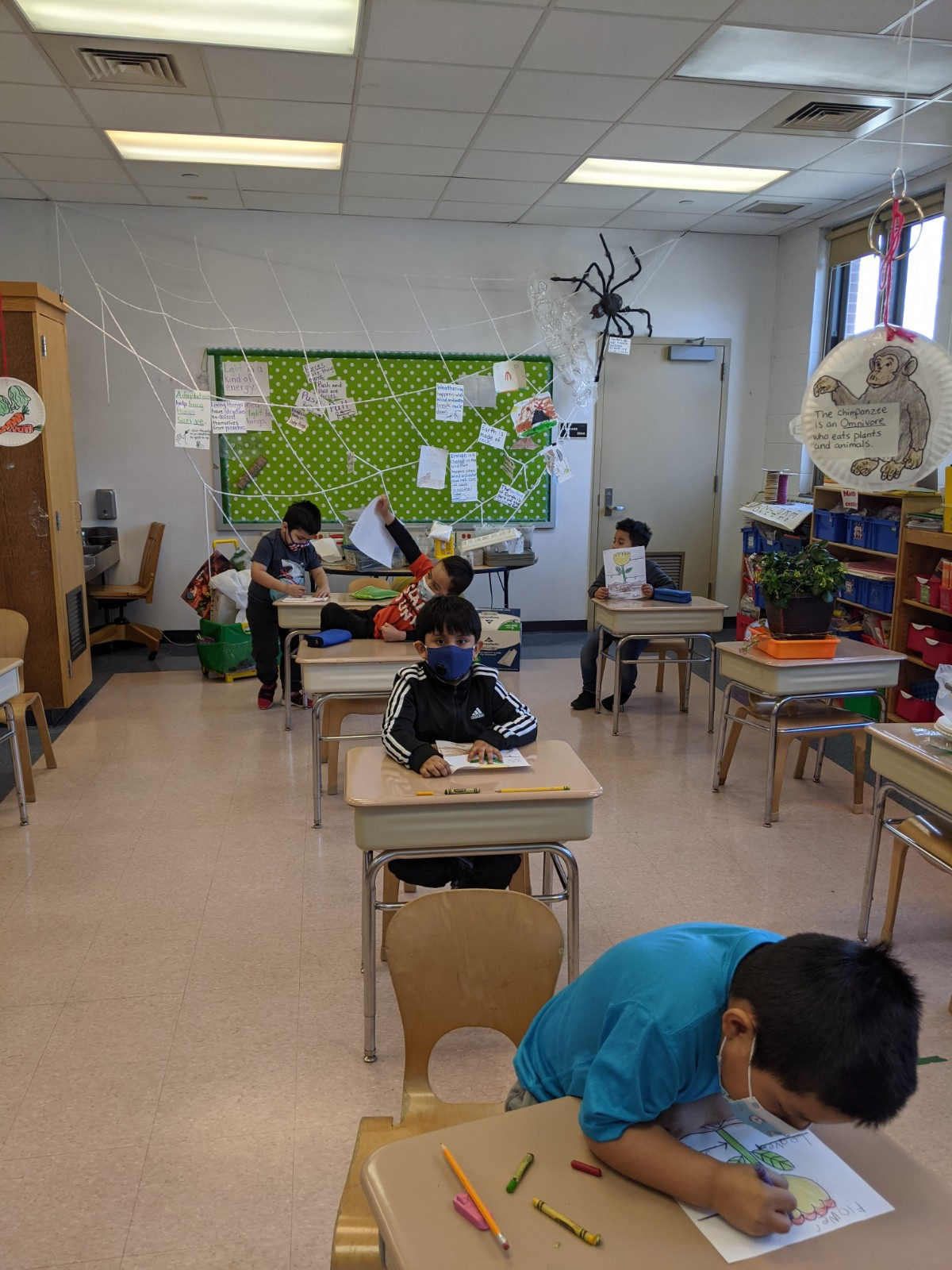 Students drawing the parts of a plant at their desks