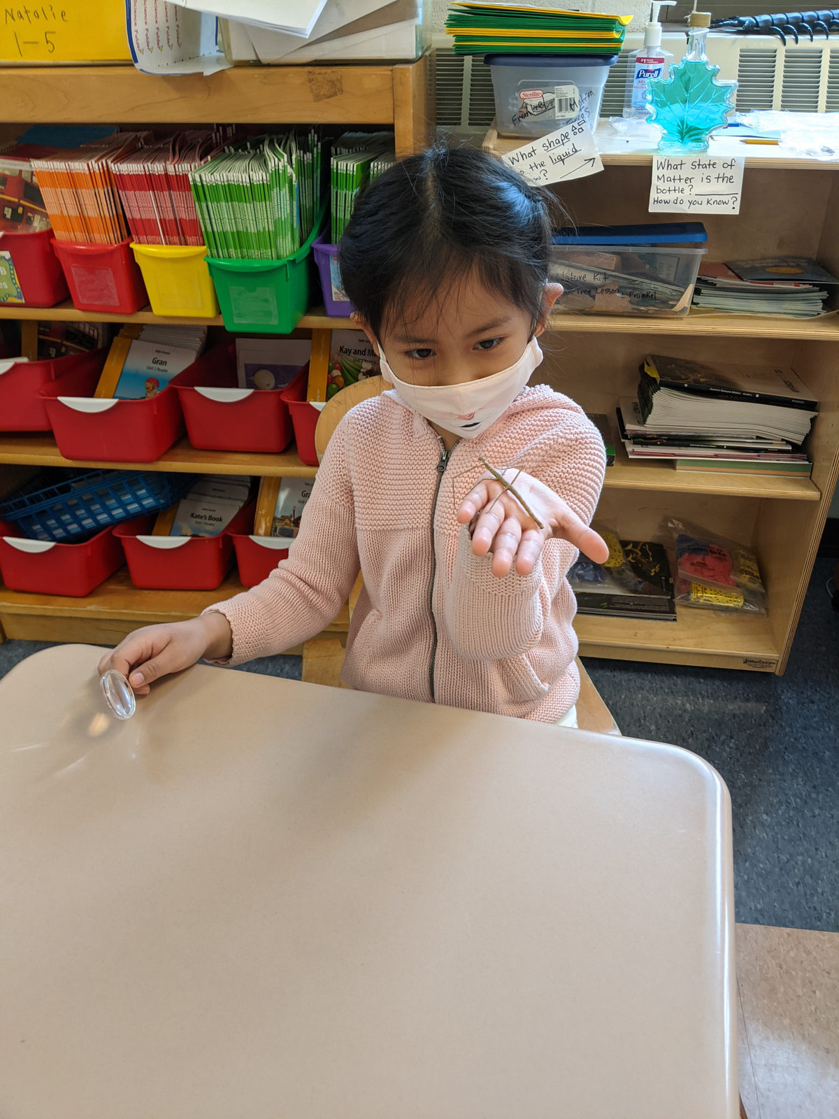 Student holding a stick bug on her finger