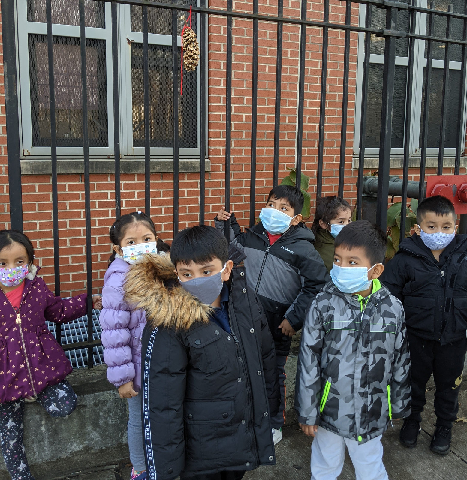 Students observing bird feeder they made