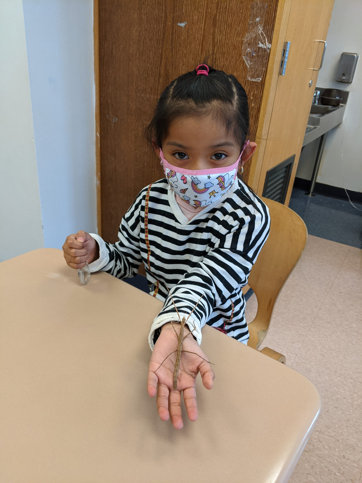 Student letting a stick bug walk on her hand