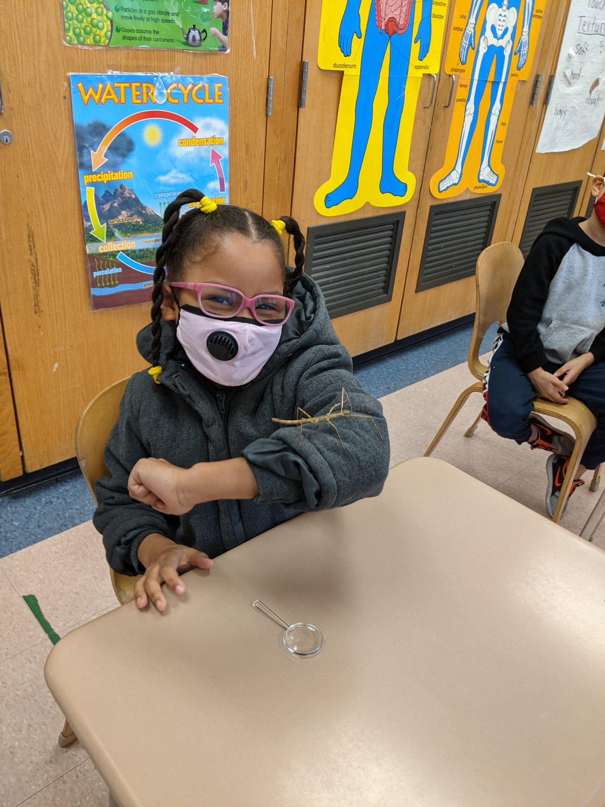 Student with a stick bug crawling on her sleeve