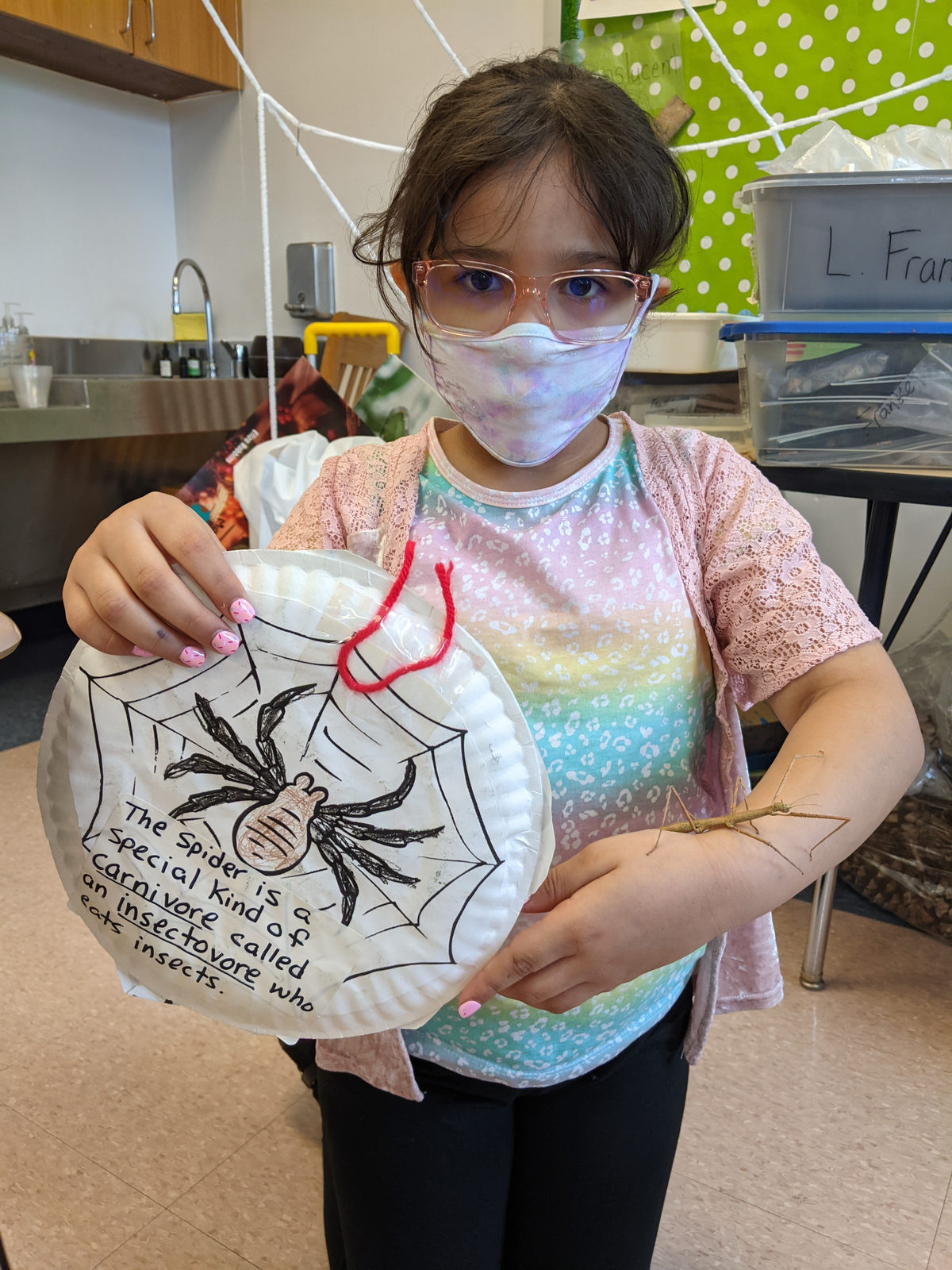 Student holding a stick bug and her paper-plate spider project