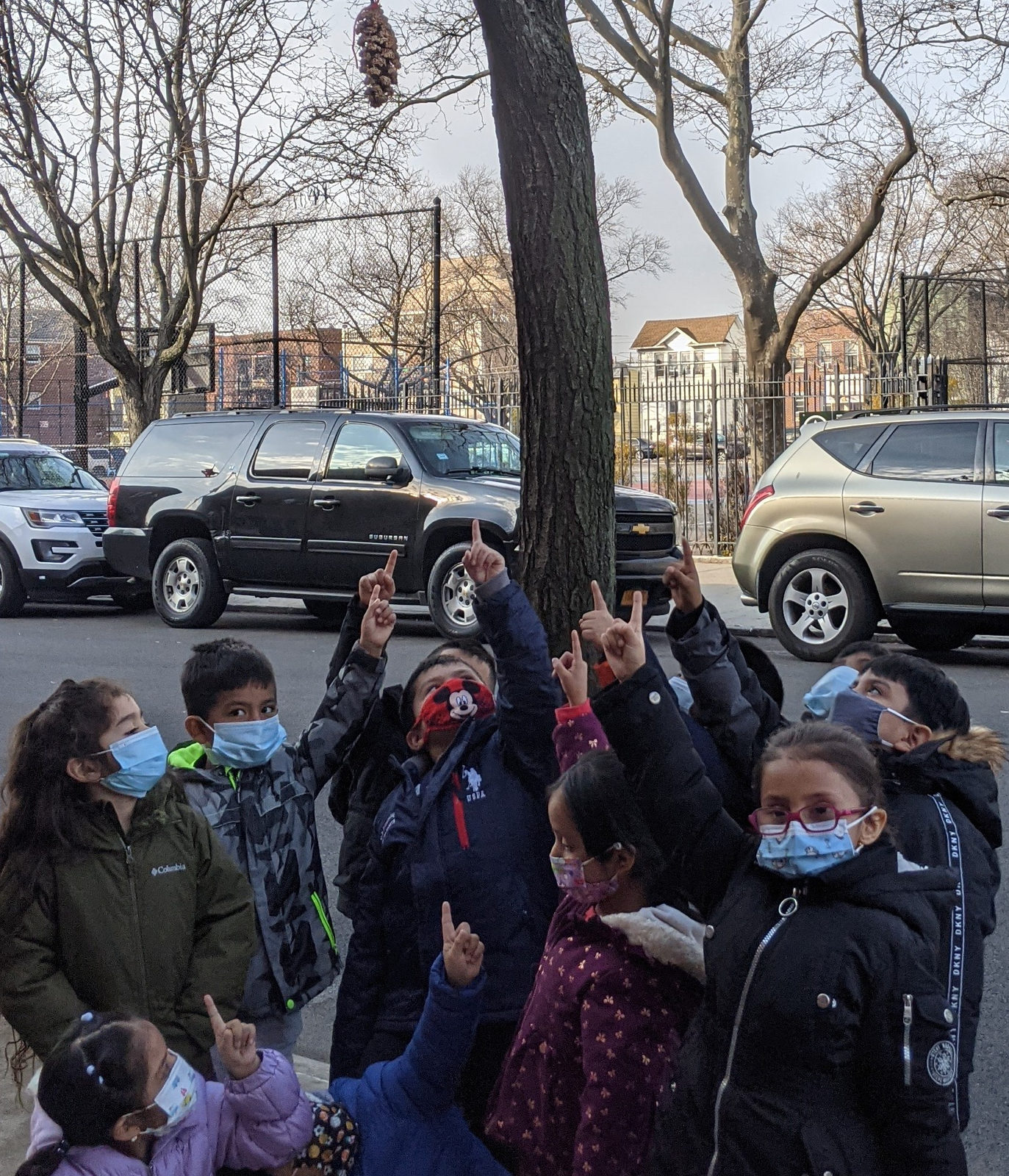 Students observing the bird feeder they made