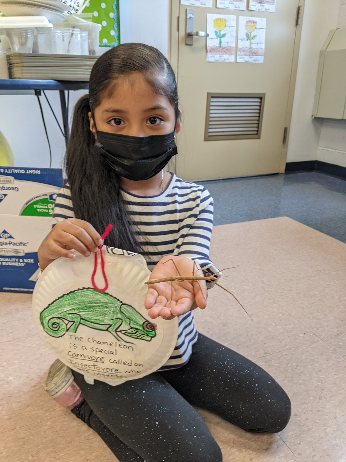 Student holding a stick bug and her paper-plate chameleon project